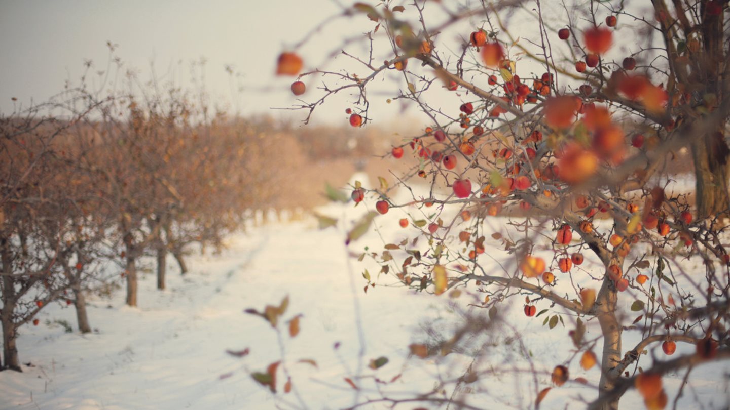 Ade, Winterblues: Jeder kann den Winter lieben lernen!