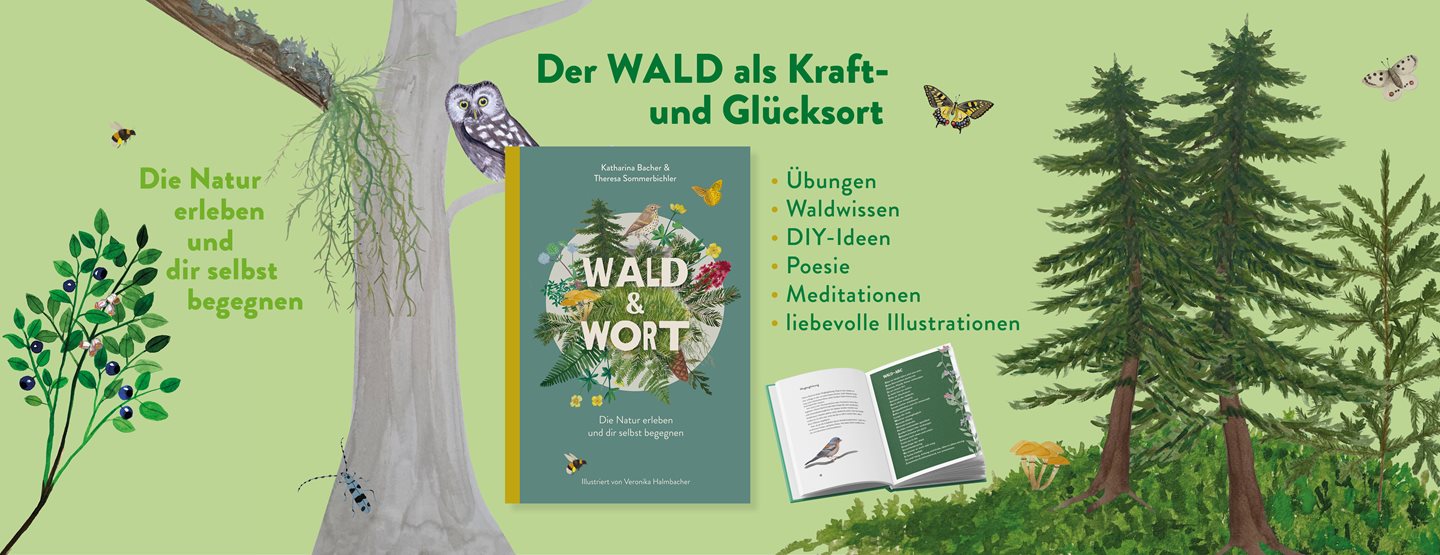 Achtsamkeitsbuch „Wald & Wort“ gewinnen 