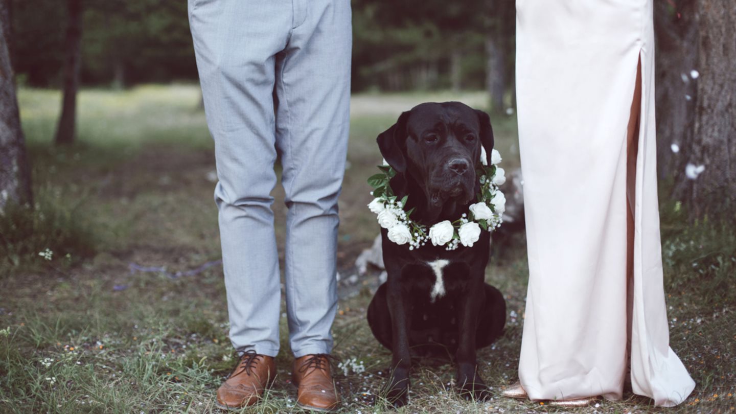 Dresscode Hochzeit: Stiehl dem Brautpaar nicht die Show!