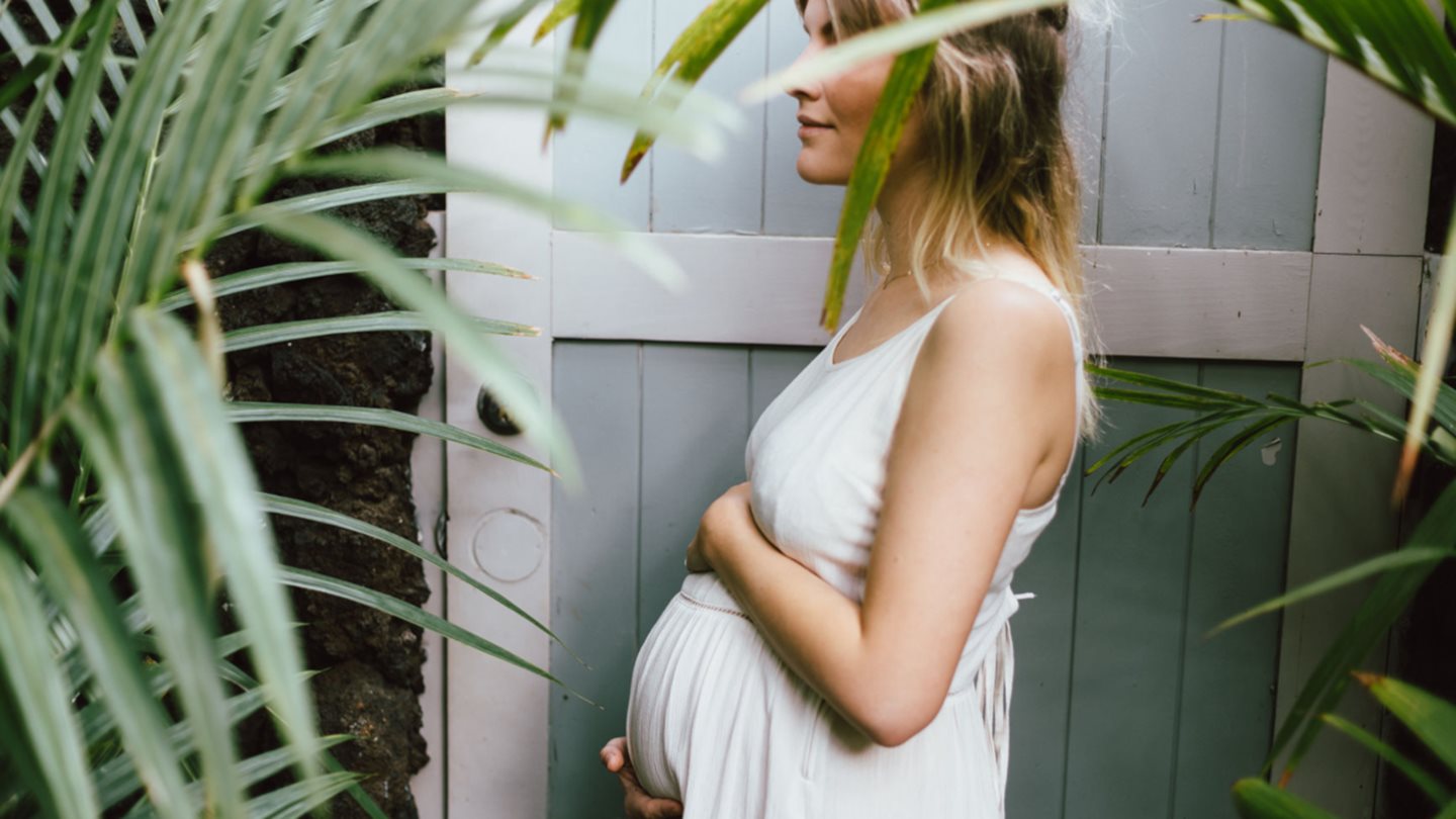 Schwangerschaft: Was jetzt im Bauch passiert
