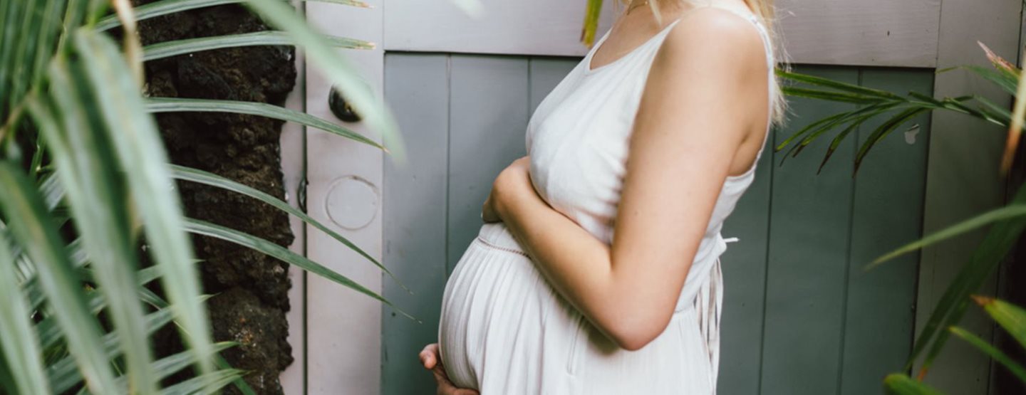 Schwangerschaft: Was jetzt im Bauch passiert