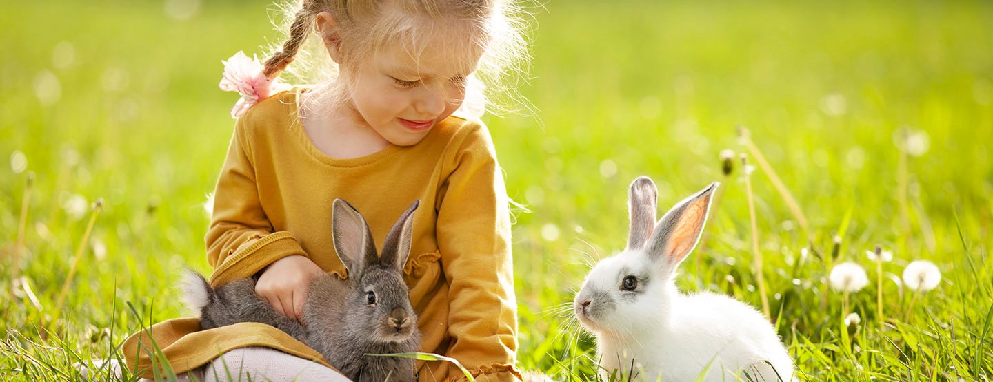 „Frohe Ostern“-Sprüche, die uns zum Lächeln bringen