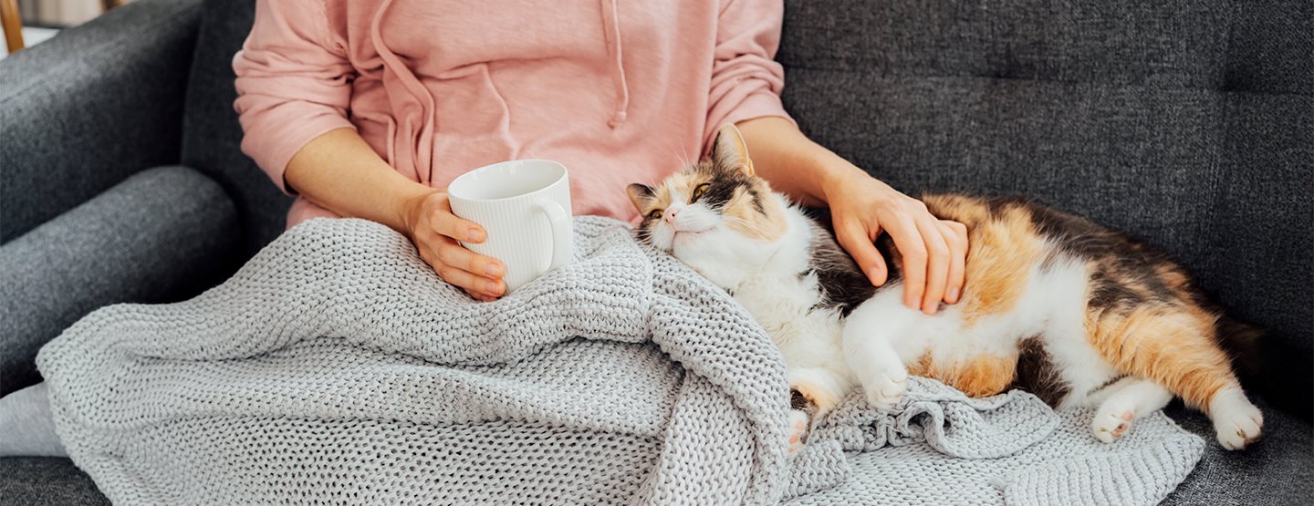 Entspannen trotz wenig Zeit: 7 Tipps fürs Relaxen am Abend