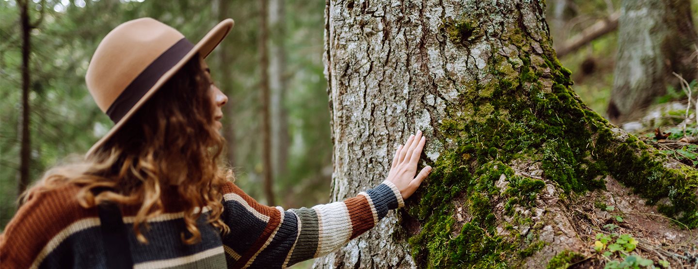Wald-Knigge: So verhalten Sie sich achtsam