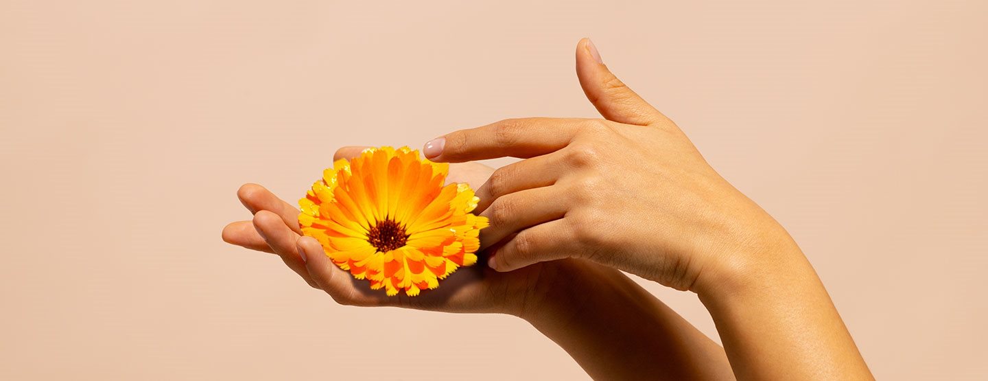 Trockene und strapazierte Hände – Ursachen, Pflege und die Kraft von Calendula & Ceramiden