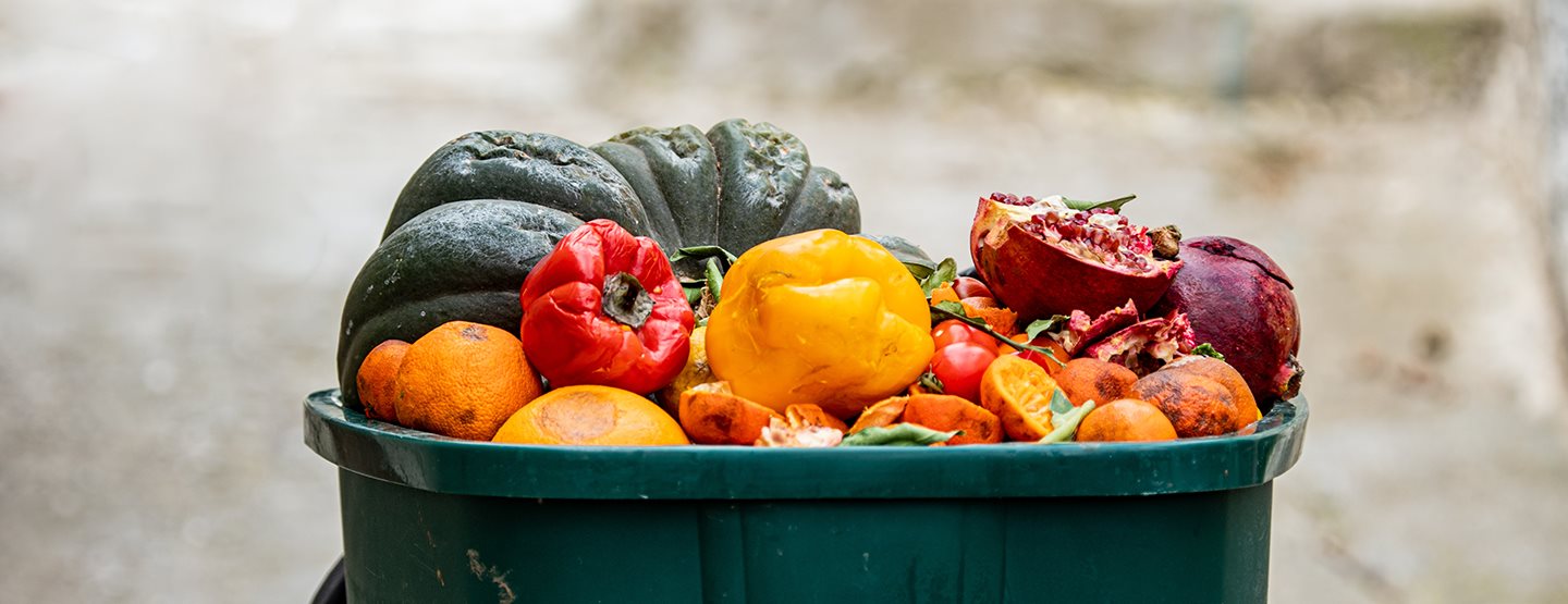 No Food Waste: Lebensmittel retten im Alltag und im Ehrenamt