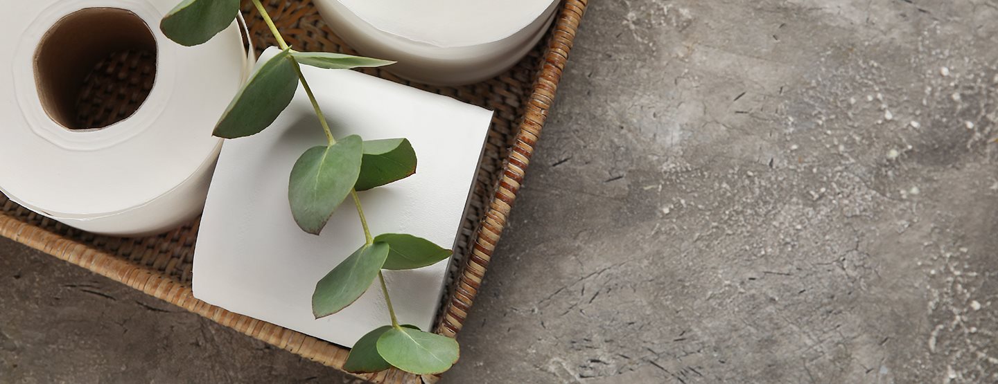 Tabuthema Toilette: Alle Infos rund um Klopapier