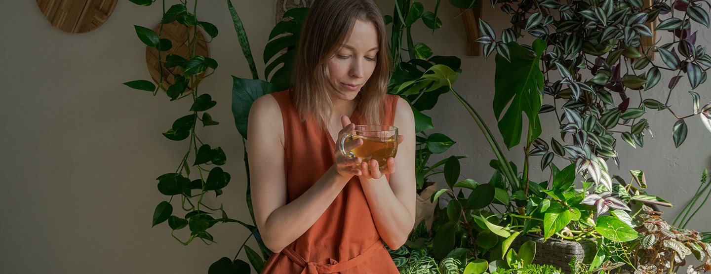 Es grünt so grün: Tee und Co als Pflanzendünger