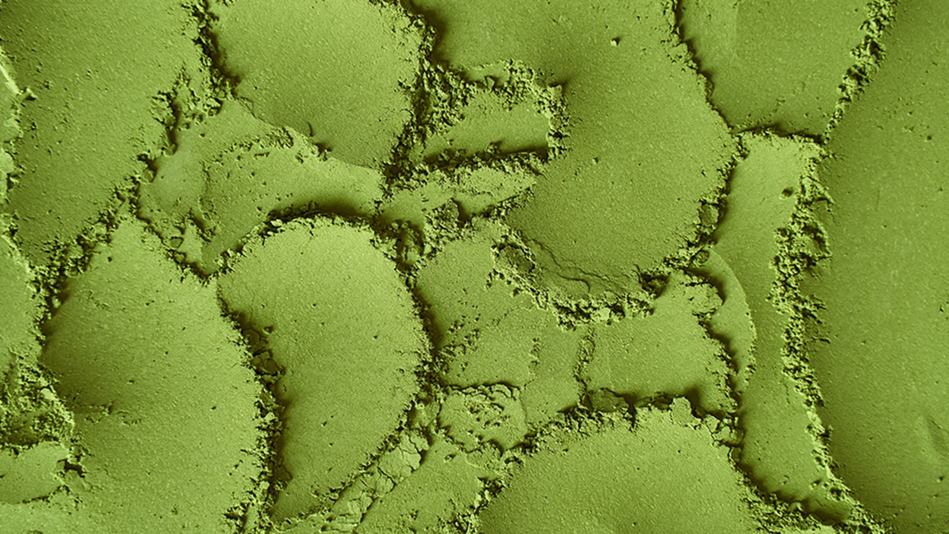 Matcha Eistee – grüner Eistee zum Selbermachen | ACTIVE BEAUTY