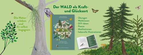 Achtsamkeitsbuch „Wald & Wort“ gewinnen 