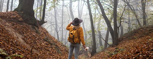 Sieben nachhaltige Herbstideen, die Spaß machen