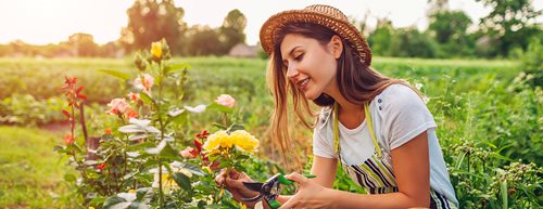 Plastikfrei Gärtnern: 5 Tricks für Ihr grünes Paradies