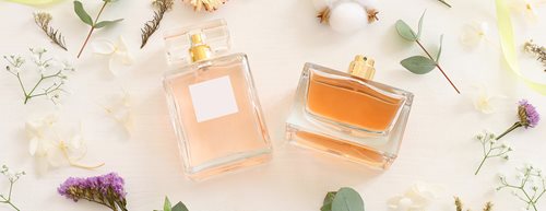dm Parfum-Neuheiten: leichte und erfrischende Parfums für Damen