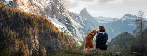 Wandern mit Hunden: die wichtigsten Tipps von der Expertin