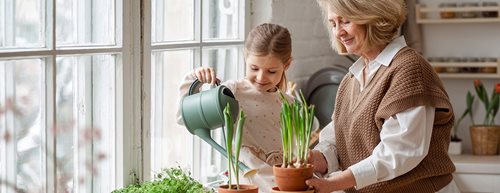 Zimmerpflanzen: So bringen Sie Ihr Greenterior gut durch den Winter