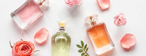 Parfum schenken: Die besten Düfte für die Liebsten