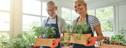 Blumenkasten bepflanzen: Eine Expertin erklärt, worauf es ankommt