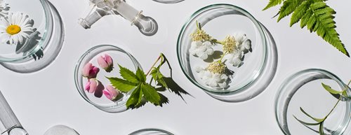 Naturkosmetik von dm: Der ultimative Guide