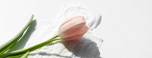 Ohne Tabu: Sprechen wir offen über die Menstruation!