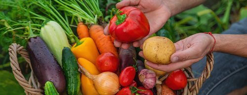 Bio-Lebensmittel: So stark boomt bei uns Bio