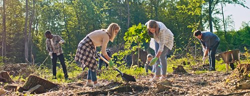 „Lust an Zukunft“: Alles zur neuen Mitmach-Initiative von dm drogerie markt