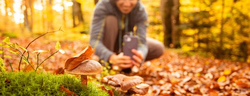Citizen Science: 7 spannende Projekte zum Mitmachen