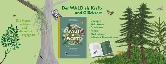 Achtsames Buch „Wald & Wort“ gewinnen 