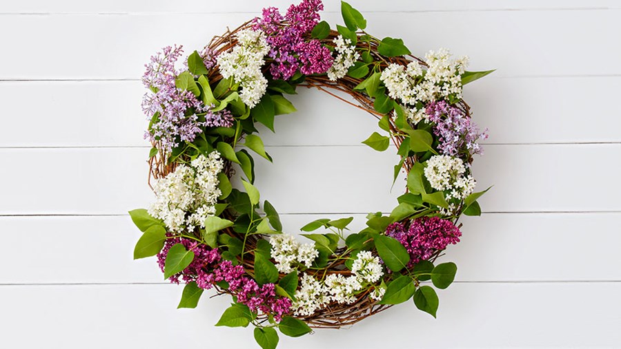 ACTIVE BEAUTY: dm Magazin für Beauty und Wohlbefinden plus Expertise vom dm friseur- & kosmetikstudio