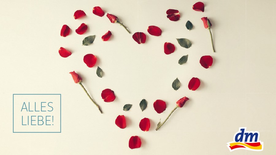 ACTIVE BEAUTY: dm Magazin für Beauty und Wohlbefinden plus Expertise vom dm friseur- & kosmetikstudio