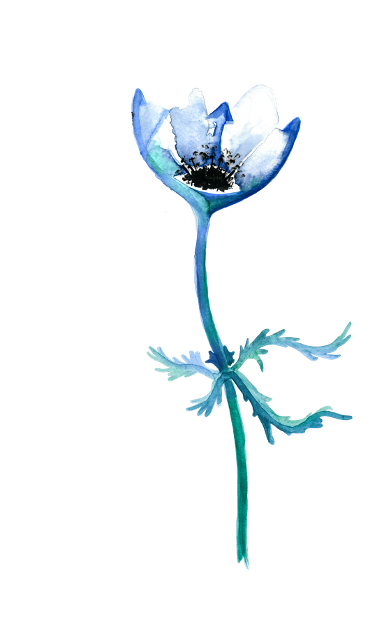 Monatshoroskop Wassermann 2023