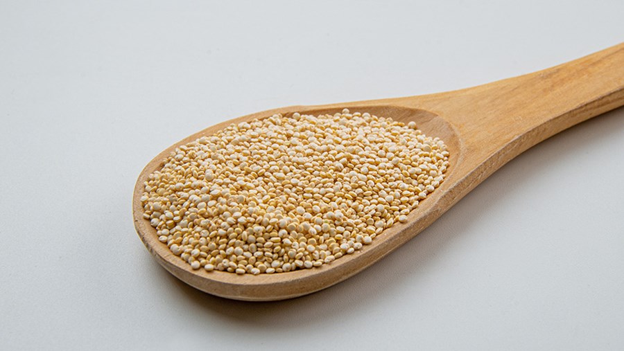 Quinoa kochen: Mit diesen Tipps gelingt es