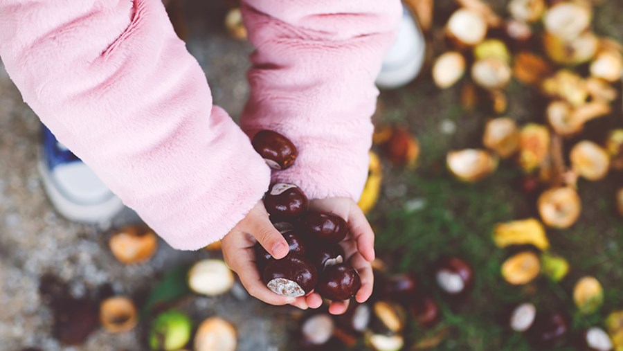 Bastelkiste für Kinder