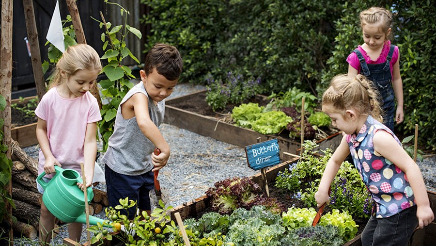 Gärtnern mit Kindern ist besonders in der Gruppe lustig.