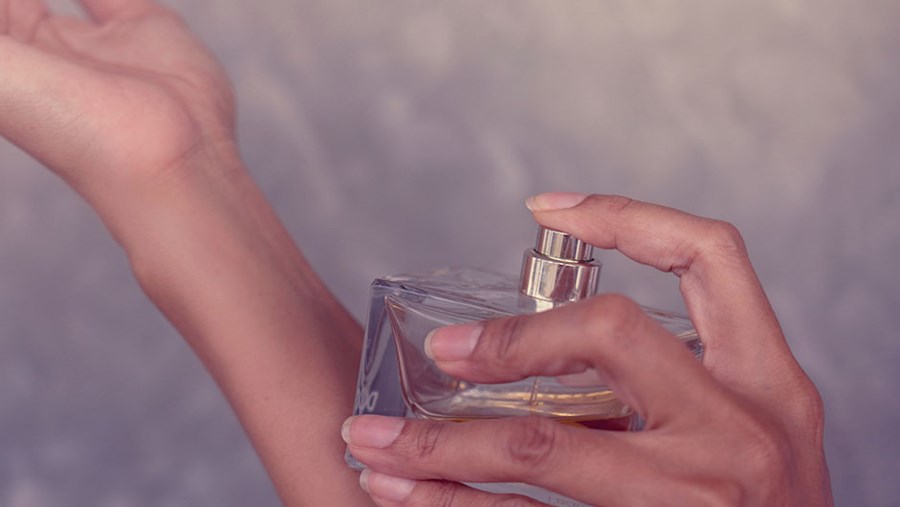 Welches Parfum für Damen?