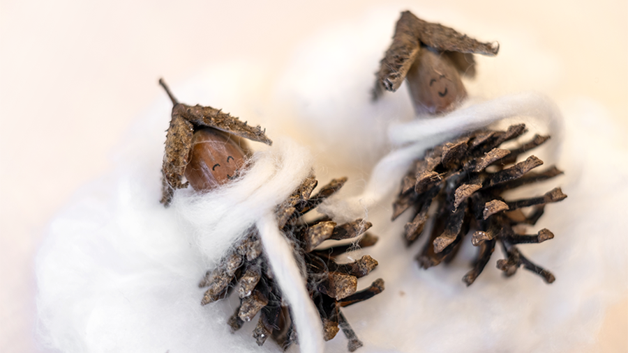 Tipps gegen Langeweile: Zapfenknirpse