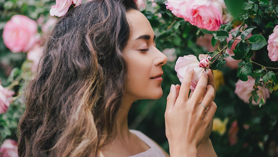 Aromatherapie: Frau riecht an Rose