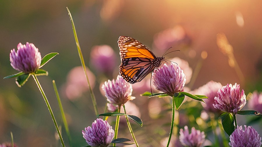 ACTIVE BEAUTY: dm Magazin für Beauty und Wohlbefinden plus Expertise vom dm friseur- & kosmetikstudio