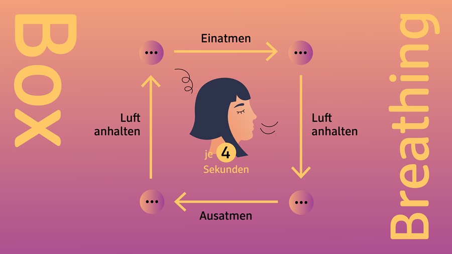 ACTIVE BEAUTY: dm Magazin für Beauty und Wohlbefinden plus Expertise vom dm friseur- & kosmetikstudio