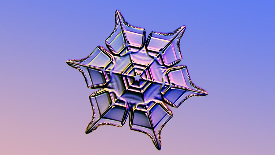 ACTIVE BEAUTY: dm Magazin für Beauty und Wohlbefinden plus Expertise vom dm friseur- & kosmetikstudio