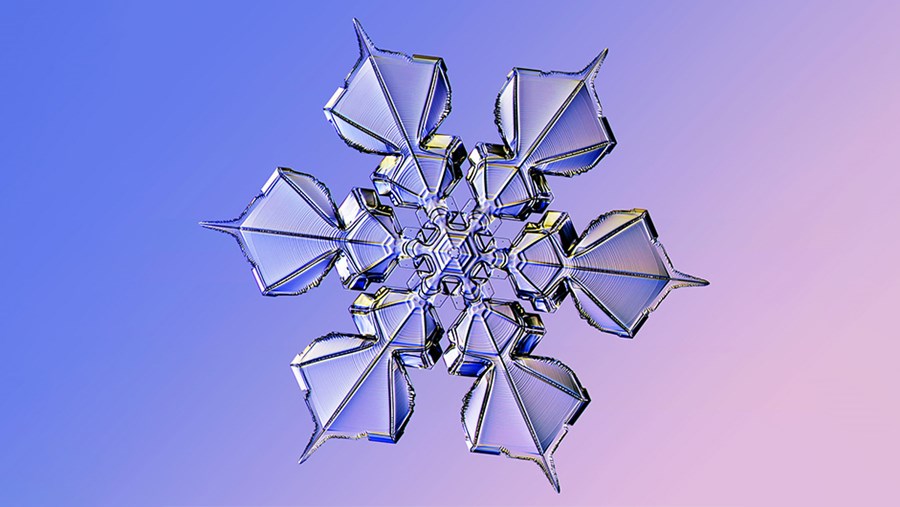 ACTIVE BEAUTY: dm Magazin für Beauty und Wohlbefinden plus Expertise vom dm friseur- & kosmetikstudio