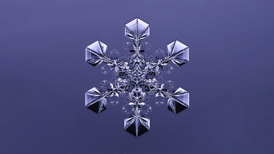 ACTIVE BEAUTY: dm Magazin für Beauty und Wohlbefinden plus Expertise vom dm friseur- & kosmetikstudio