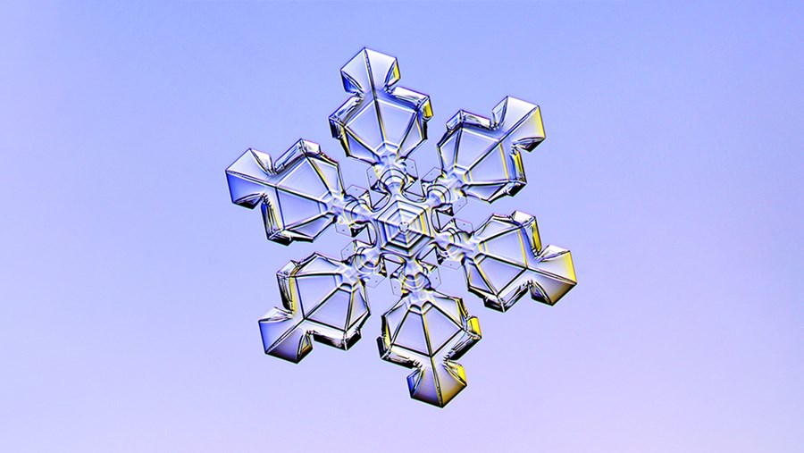 ACTIVE BEAUTY: dm Magazin für Beauty und Wohlbefinden plus Expertise vom dm friseur- & kosmetikstudio