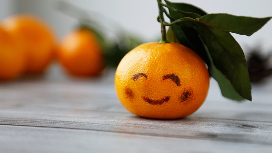 ACTIVE BEAUTY: dm Magazin für Beauty und Wohlbefinden plus Expertise vom dm friseur- & kosmetikstudio