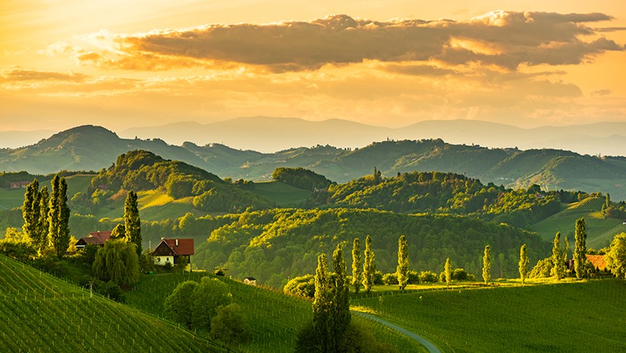 ACTIVE BEAUTY: dm Magazin für Beauty und Wohlbefinden plus Expertise vom dm friseur- & kosmetikstudio