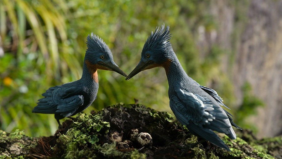 ACTIVE BEAUTY: dm Magazin für Beauty und Wohlbefinden plus Expertise vom dm friseur- & kosmetikstudio