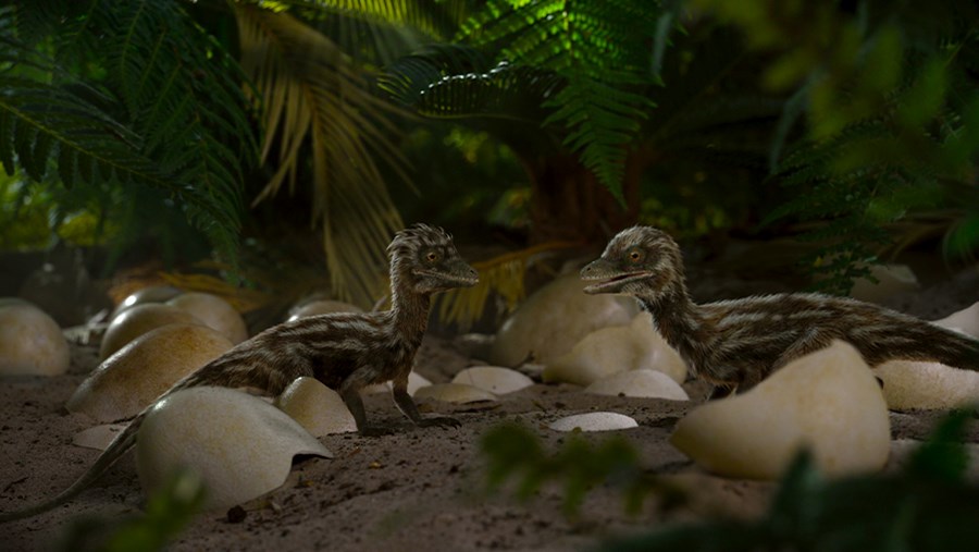 ACTIVE BEAUTY: dm Magazin für Beauty und Wohlbefinden plus Expertise vom dm friseur- & kosmetikstudio