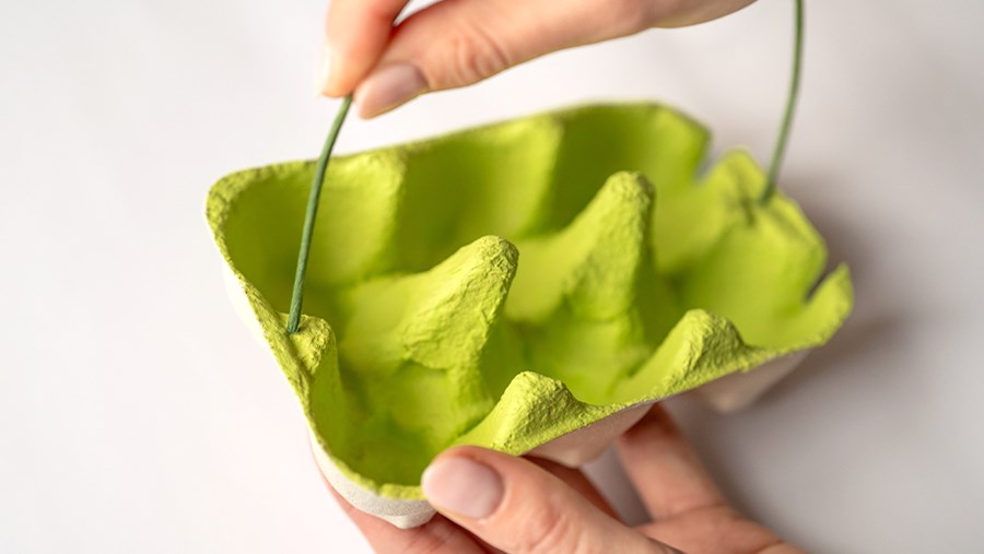 ACTIVE BEAUTY: dm Magazin für Beauty und Wohlbefinden plus Expertise vom dm friseur- & kosmetikstudio