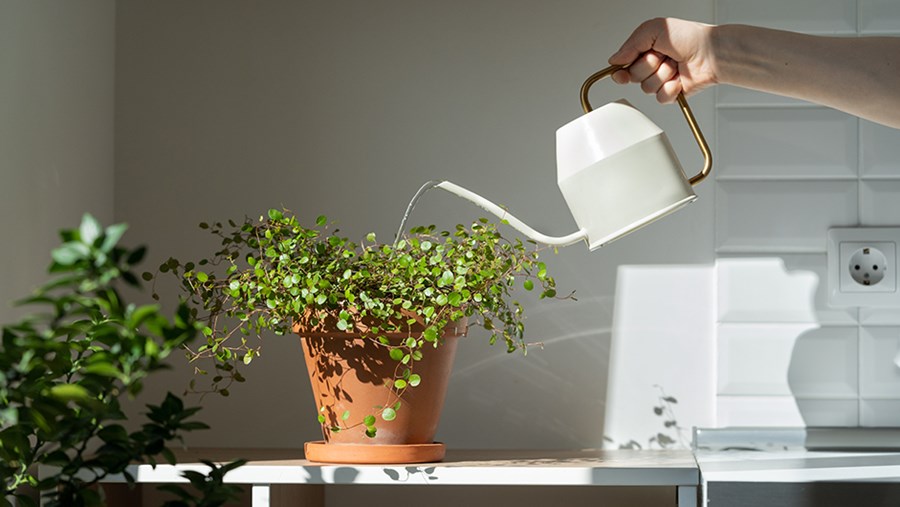 ACTIVE BEAUTY: dm Magazin für Beauty und Wohlbefinden plus Expertise vom dm friseur- & kosmetikstudio