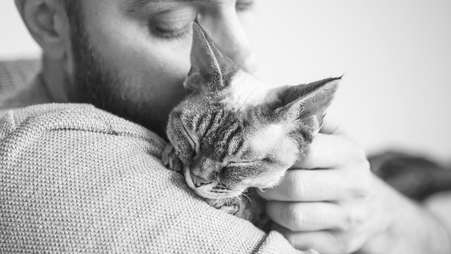 ACTIVE BEAUTY: dm Magazin für Beauty und Wohlbefinden plus Expertise vom dm friseur- & kosmetikstudio